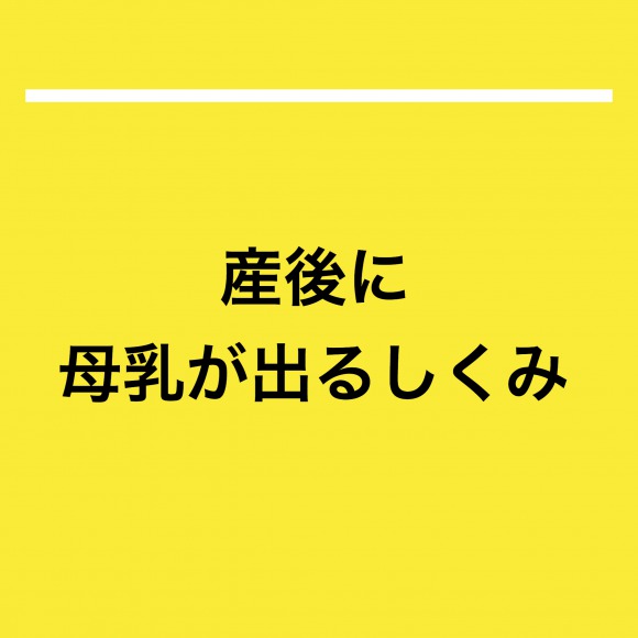 産後に母乳が出るしくみ