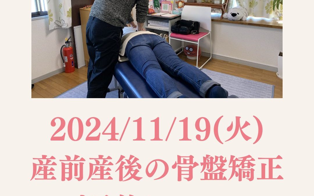 【ご案内】2024/11/19(火)産前産後の骨盤矯正