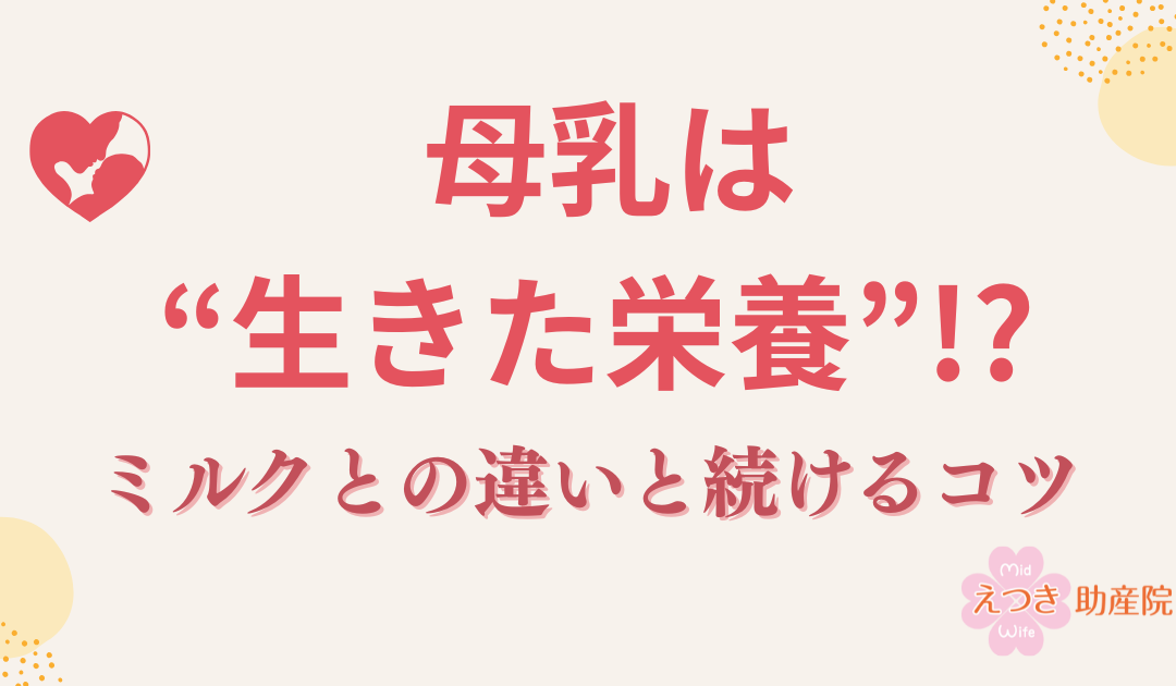 【助産師が解説】母乳は“生きた栄養”!? ミルクとの違いと続けるコツ