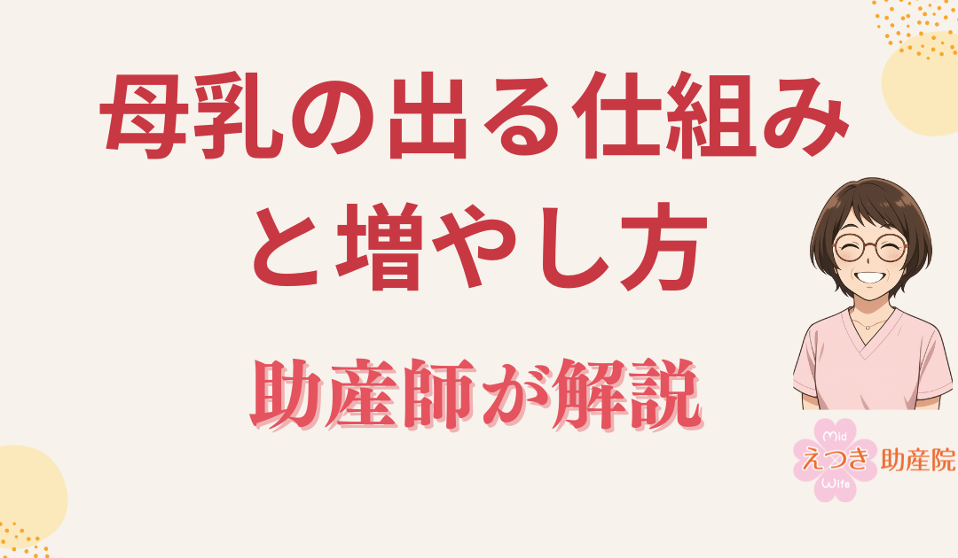 【助産師が解説】母乳は「貯める」ものではなく「作る」もの──母乳の出る仕組みと増やし方